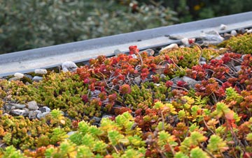 the cost of West Allotment green roof installation