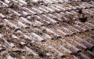 West Allotment roof cleaning companies